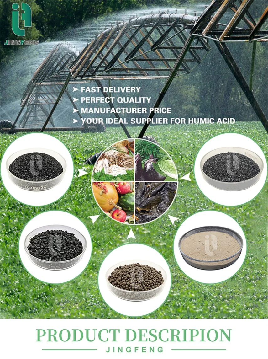 Alga Extracts Strong Spiral Soluble Water Organic Fertilizer Flake Concentrated Seaweed Extract