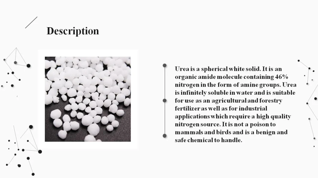 Good Quality Agriculture Grade Urea N46, NPK, Amonia Nitrate Nitrogen Fertilizer